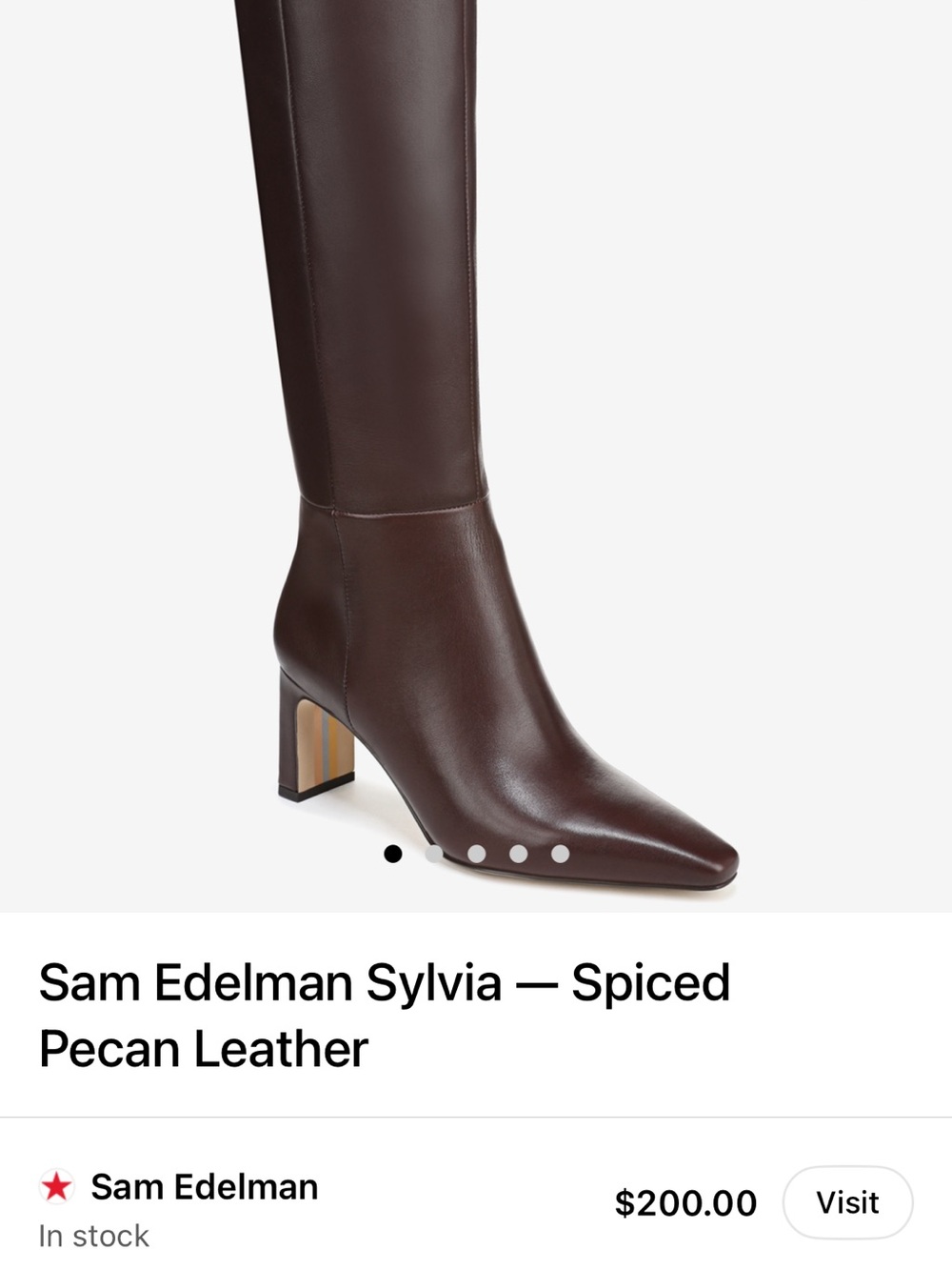Sam Edelman Tall Pointed-Toe Leather Boots in Dark Brown - Picture 5 of 5